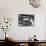 Good of Worker in Bakery Standing in Front of Shelves of Various Kinds of Breads and Rolls-Alfred Eisenstaedt-Photographic Print displayed on a wall