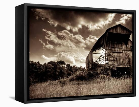 Good Old Days-Stephen Arens-Framed Stretched Canvas