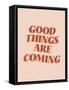 Good Things-Beth Cai-Framed Stretched Canvas