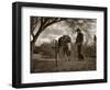 Goodbye Old Friend-Barry Hart-Framed Art Print