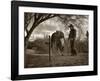 Goodbye Old Friend-Barry Hart-Framed Art Print