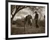 Goodbye Old Friend-Barry Hart-Framed Art Print