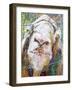 Goodness Goat-Elizabeth St. Hilaire-Framed Art Print