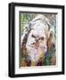 Goodness Goat-Elizabeth St. Hilaire-Framed Art Print