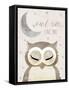 Goodnight Owl-Daniela Santiago-Framed Stretched Canvas