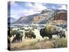 Goodnight's Legacy-Jack Sorenson-Stretched Canvas