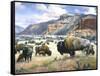 Goodnight's Legacy-Jack Sorenson-Framed Stretched Canvas