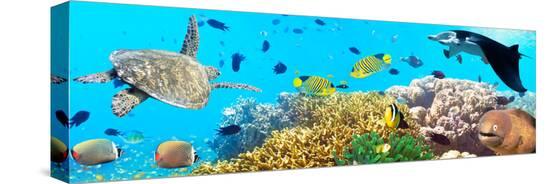 Stretched Canvas Print, , large