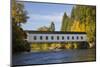 Goodpasture Covered Bridge, Mckenzie River, Lane County, Oregon, USA-Jamie & Judy Wild-Mounted Photographic Print