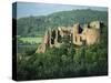 Goodrich Castle, Herefordshire, England, United Kingdom, Europe-Woolfitt Adam-Stretched Canvas