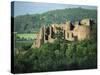 Goodrich Castle, Herefordshire, England, United Kingdom, Europe-Woolfitt Adam-Stretched Canvas