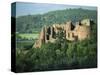 Goodrich Castle, Herefordshire, England, United Kingdom, Europe-Woolfitt Adam-Stretched Canvas