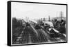 Goods Train Waits on One Track to Let the Passenger Train Go Through-null-Framed Stretched Canvas