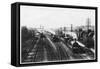 Goods Train Waits on One Track to Let the Passenger Train Go Through-null-Framed Stretched Canvas