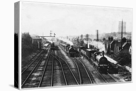 Goods Train Waits on One Track to Let the Passenger Train Go Through-null-Stretched Canvas