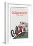 Goodwood - Dave Thompson Contemporary Travel Print-Dave Thompson-Framed Giclee Print