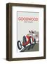 Goodwood - Dave Thompson Contemporary Travel Print-Dave Thompson-Framed Giclee Print