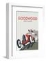 Goodwood - Dave Thompson Contemporary Travel Print-Dave Thompson-Framed Giclee Print