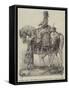 Goodwood Races, the Goodwood Cup, Equestrian Statue of Queen Elizabeth-null-Framed Stretched Canvas