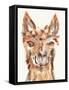 Goofy Llama I-Julie DeRice-Framed Stretched Canvas