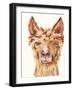 Goofy Llama II-Julie DeRice-Framed Art Print