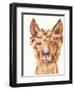 Goofy Llama II-Julie DeRice-Framed Art Print