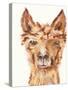 Goofy Llama II-Julie DeRice-Stretched Canvas