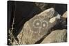 Google-Eyed Jornada-Mogollon Petroglyph at Three Rivers Site, New Mexico-null-Stretched Canvas