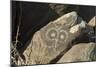 Google-Eyed Jornada-Mogollon Petroglyph at Three Rivers Site, New Mexico-null-Mounted Photographic Print