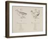 Goose and Hen Illustrations and Verses From Nonsense Alphabets Drawn and Written by Edward Lear.-Edward Lear-Framed Giclee Print