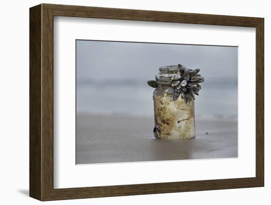 Goose Barnacle (Pollicipes Sp) Attached to Bottle-Luis Quinta-Framed Photographic Print