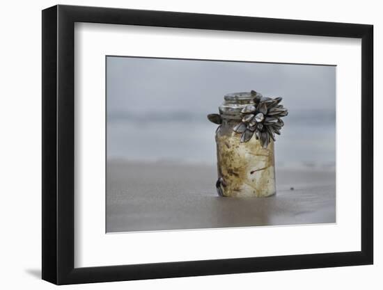 Goose Barnacle (Pollicipes Sp) Attached to Bottle-Luis Quinta-Framed Photographic Print