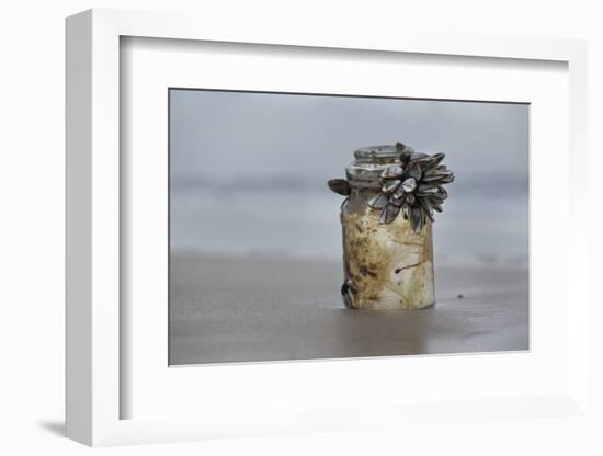 Goose Barnacle (Pollicipes Sp) Attached to Bottle-Luis Quinta-Framed Photographic Print