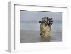 Goose Barnacle (Pollicipes Sp) Attached to Bottle-Luis Quinta-Framed Photographic Print