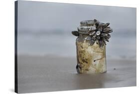 Goose Barnacle (Pollicipes Sp) Attached to Bottle-Luis Quinta-Stretched Canvas