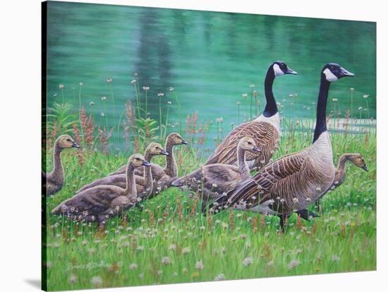 Goose Family Outing-Bruce Dumas-Stretched Canvas