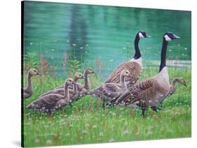 Goose Family Outing-Bruce Dumas-Stretched Canvas