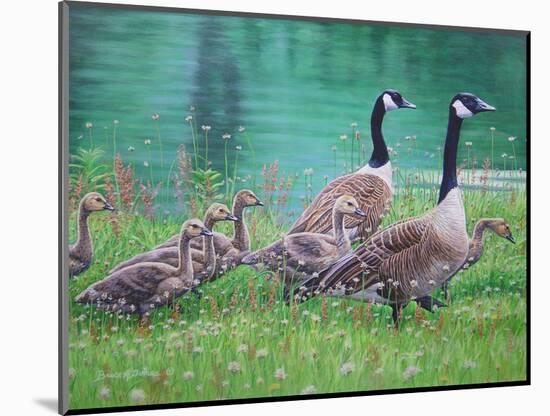 Goose Family Outing-Bruce Dumas-Mounted Giclee Print