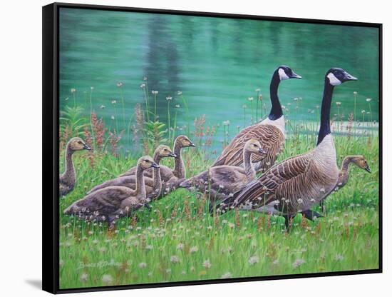 Goose Family Outing-Bruce Dumas-Framed Stretched Canvas