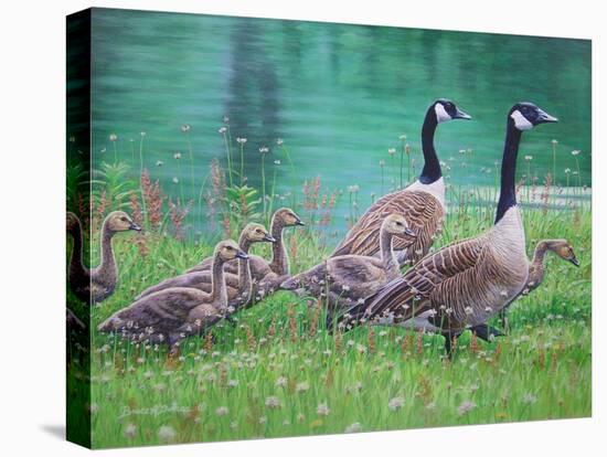 Goose Family Outing-Bruce Dumas-Stretched Canvas