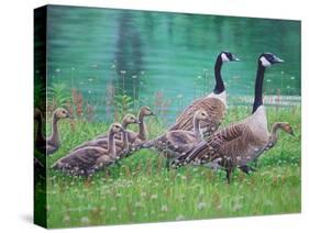 Goose Family Outing-Bruce Dumas-Stretched Canvas