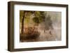 Goose Fight-Anton Van Dongen-Framed Photographic Print