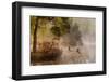 Goose Fight-Anton Van Dongen-Framed Photographic Print