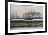 Goose Herding-null-Framed Premium Giclee Print