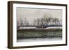 Goose Herding-null-Framed Art Print