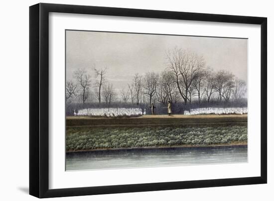 Goose Herding-null-Framed Art Print