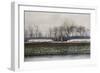 Goose Herding-null-Framed Art Print