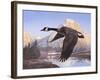 Goose Mtn-Rusty Frentner-Framed Giclee Print