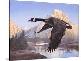 Goose Mtn-Rusty Frentner-Stretched Canvas