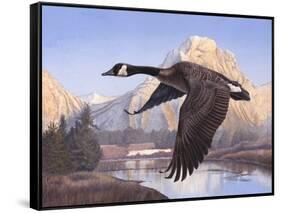 Goose Mtn-Rusty Frentner-Framed Stretched Canvas
